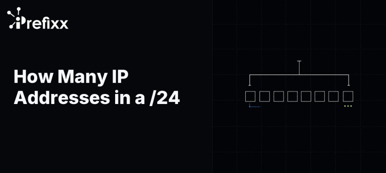 How Many IP Addresses in a /24? 256 Explained