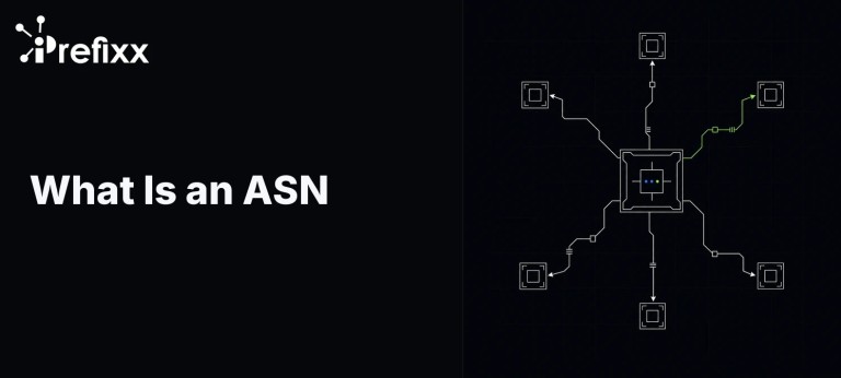 What Is an ASN? Routing Identity, RPKI & IRR Explained