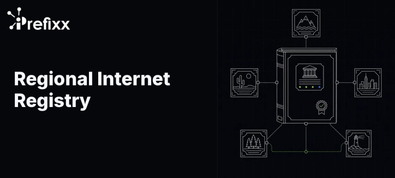 Regional Internet Registry: Rules, Transfers & RIRs