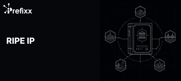 RIPE IP Addresses: Buy, Lease or Transfer in 2025